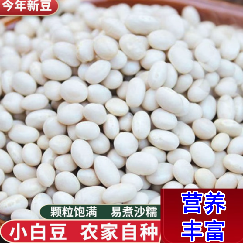 新货贵州珍珠豆小芸豆白云豆新鲜农家小雪豆类批发杂粮农家小白豆