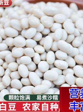 新货贵州珍珠豆小芸豆白云豆新鲜农家小雪豆类批发杂粮农家小白豆