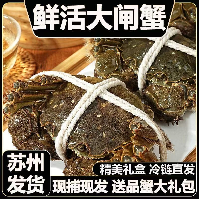 现货鲜活大闸蟹公母螃蟹生鲜海鲜水产礼盒装6/12含绳工具苏州发货