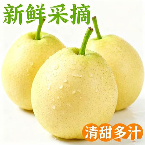 正宗鸭梨 脆嫩爽口爆汁现摘现发 新鲜水果清甜多汁 非砀山梨雪梨
