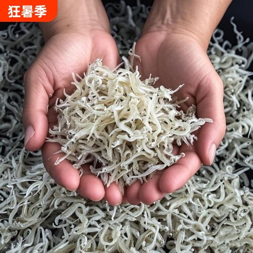 新鲜小丁香鱼浙江温州海鲜特产小银鱼500g鱼干海味干货袋装美味
