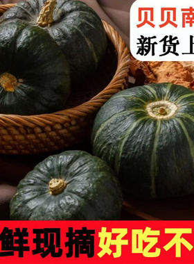 新货贝贝南瓜新鲜粉糯板栗味