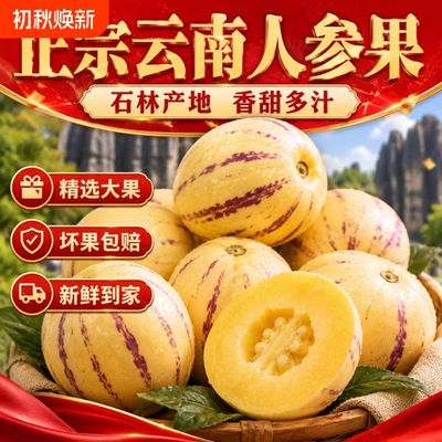正宗石林人参果大果黄金果