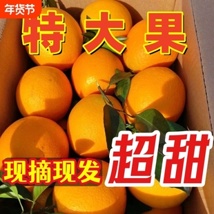 江西万安硒橙5斤应季水果皮薄多汁天然种植脐橙赣南大脐橙冰糖心