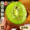 徐香猕猴桃12个装90-110g