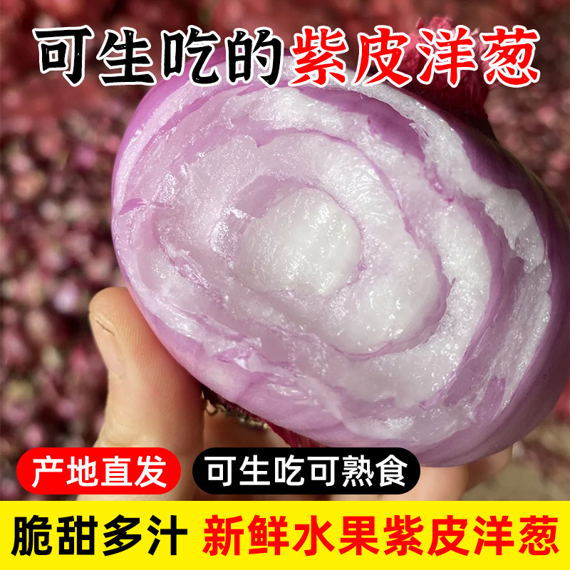 二红扁葱肉厚多汁新鲜水果洋葱生吃甜脆应季土特产