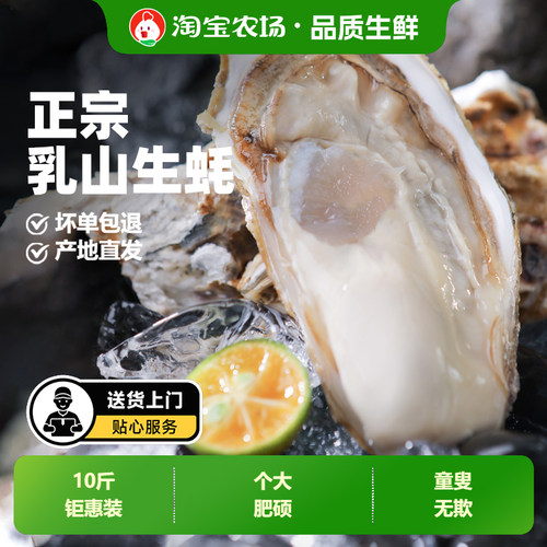 鲜活乳山生蚝10斤钜惠装