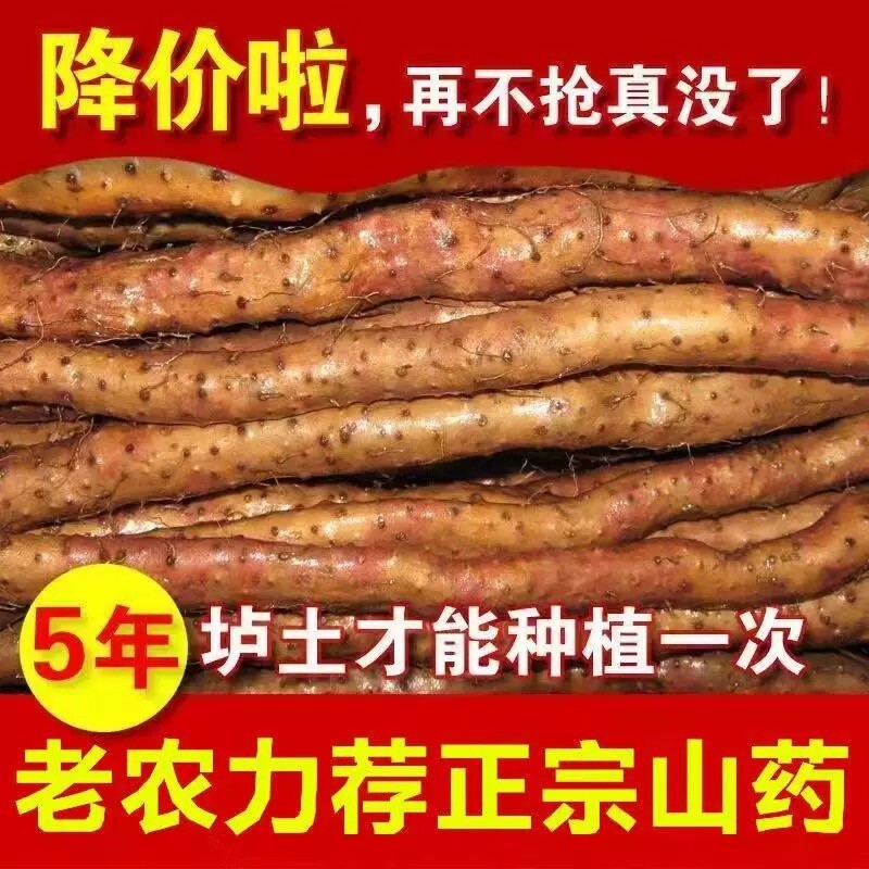 正宗非河南焦作怀山药山药豆新鲜垆土铁棍山药豆糖葫芦专用特大号