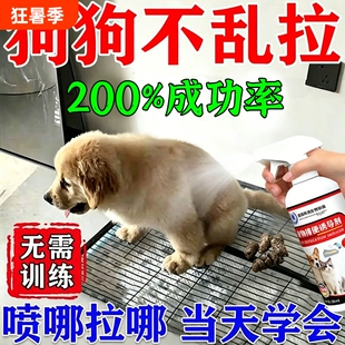 狗狗定点排便神器宠物不乱拉屎幼犬大小便尿垫定点训练专用诱导剂