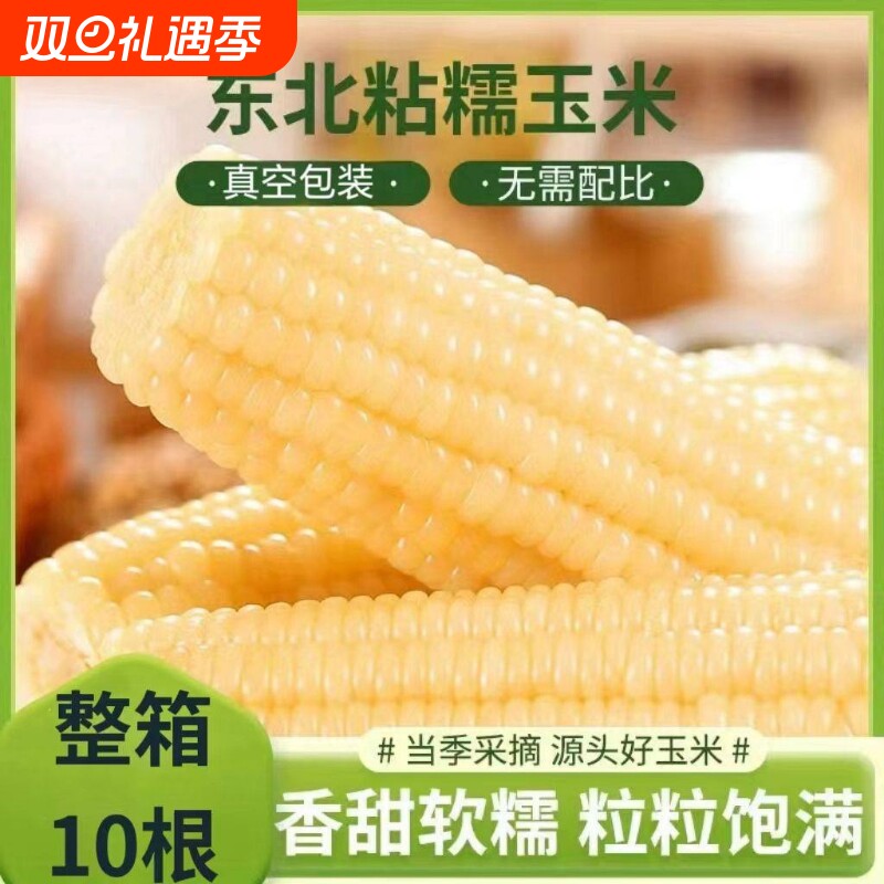 东北白糯甜糯粘玉米棒黏苞米棒真空包装新鲜粗粮代餐低脂健康早餐