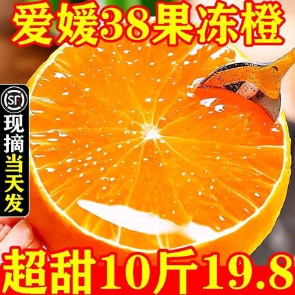 四川爱媛38果冻橙橙子新鲜大水果应当季整箱冰糖甜手剥脐产地直发