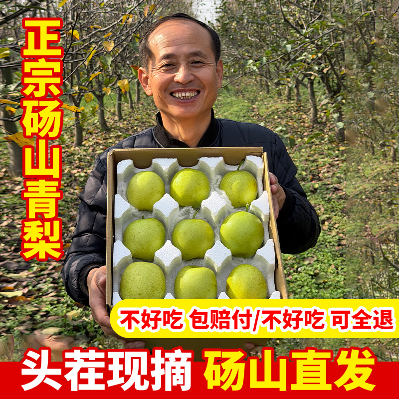 安徽砀山皇冠梨青皮蜜梨