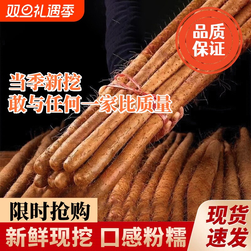 正宗铁棍山药垆土种植现挖现发新鲜采摘整箱五斤淮山药小白嘴山药