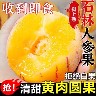 云南人参果水果圆果黄肉大果新鲜石林人叁果树上熟果整箱包邮5斤