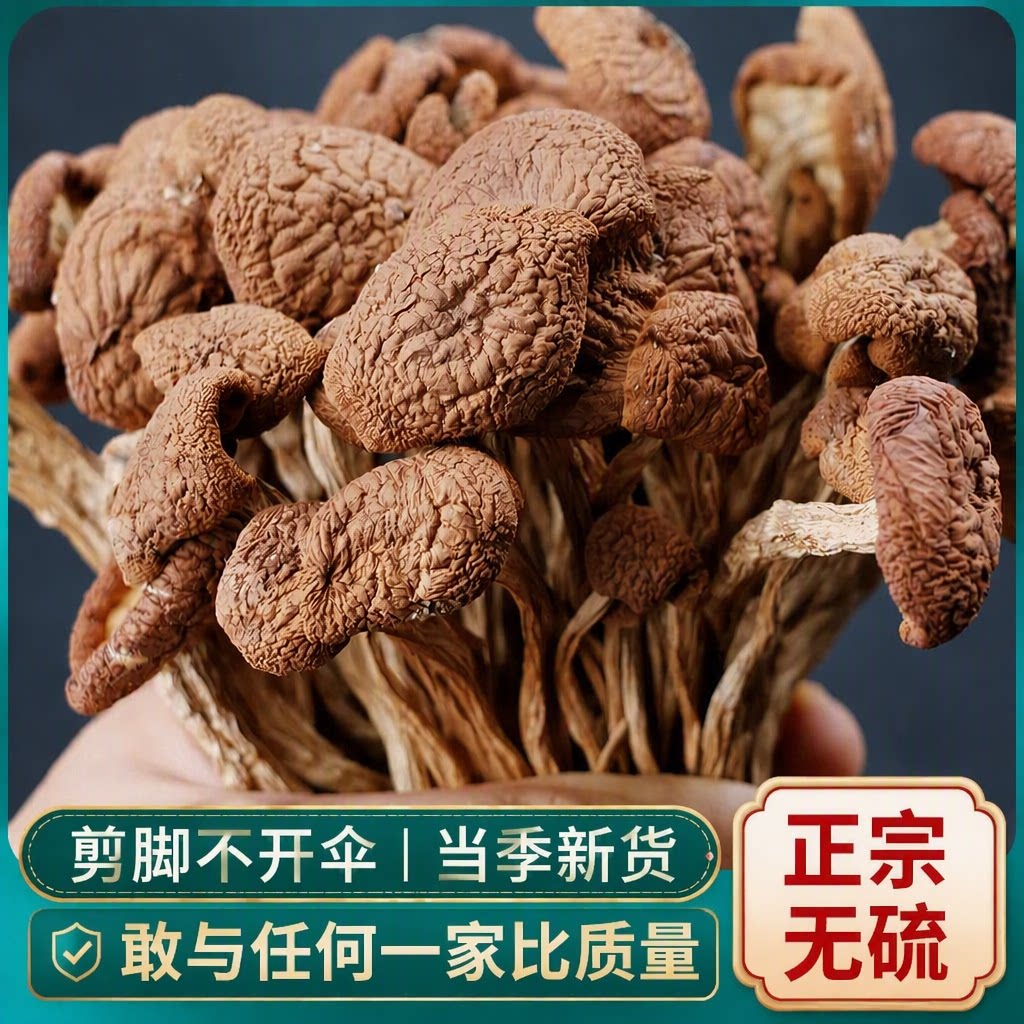 优选茶树菇干货古田不开伞500g新货菌菇美味健康新鲜散装正宗食用