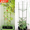 西红柿支架黄瓜爬藤架园艺花卉支撑杆阳台花架固定番茄大棚三角