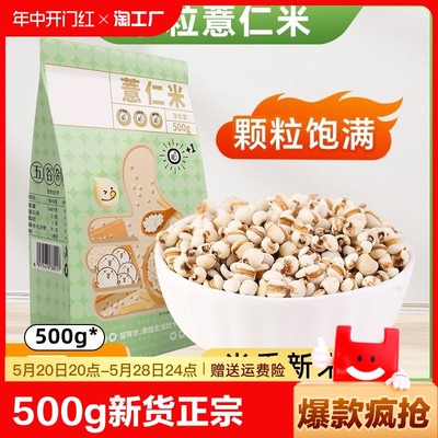 小薏米500g当季新货饱满正宗