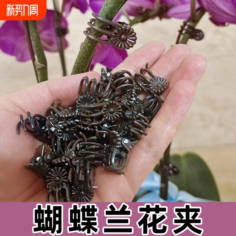 蝴蝶兰花夹子植物爬藤固定夹花卉夹定型防倒伏园艺工具花枝造型