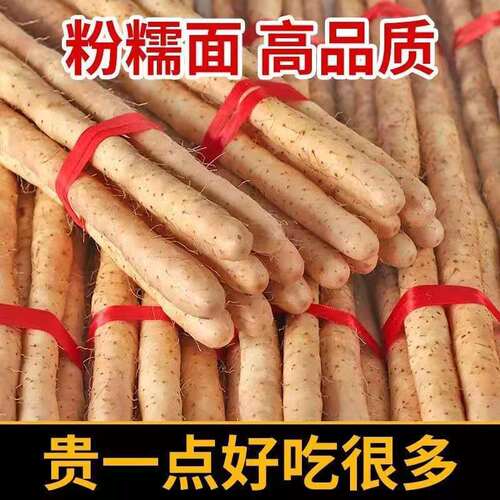 正宗铁棍山药新鲜铁杆淮山现挖小白嘴山药带土发货粉糯甘香蔬菜