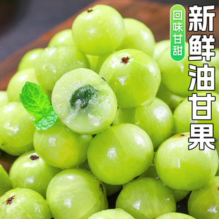 新鲜油甘果当季水果5斤余甘果牛甘子现摘油柑滇橄榄酸涩回甘包邮