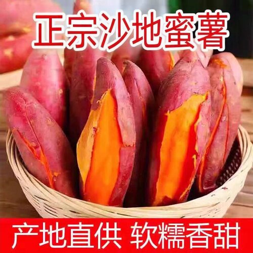 沙地蜜薯爆甜红薯新鲜地瓜香甜粉糯无丝正宗黄心糖心非板栗番薯