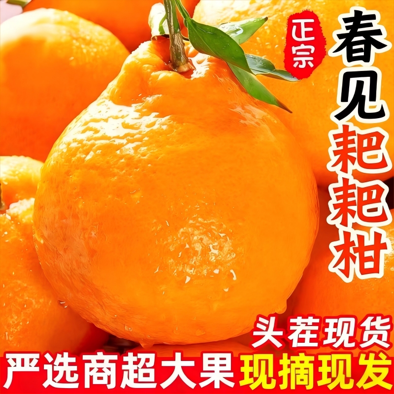 正宗四川春见耙耙柑粑粑柑杷杷柑新鲜水果整箱10当季丑桔子橘甜斤