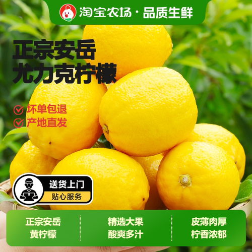 新鲜安岳柠檬现摘薄皮多汁奶茶店