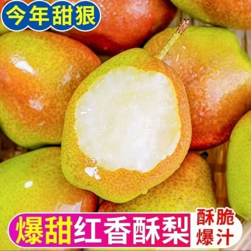 山西红香酥梨新鲜水果梨子当应季时令整箱脆甜香梨水果,水产肉类/新鲜蔬果/熟食,梨,淘宝优惠券,粉丝福利购,淘宝优惠卷