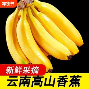 【优质】热销高山香蕉自然熟香蕉水果皮薄条肥整箱党建新鲜需催熟