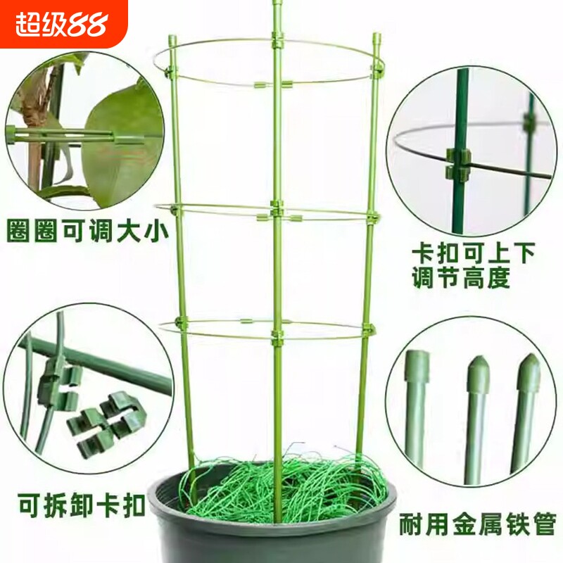 花架爬藤架子葡萄架支架杆蔬菜植物葡萄黄瓜西红柿种植架固定客厅图片