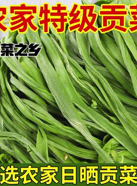 2026贡菜干货特产农家火锅食材新鲜苔菜干蔬菜贡菜干脱水凉拌原味
