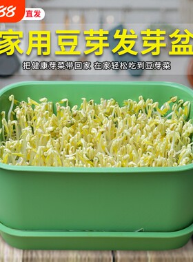 家用育苗发芽盆豆芽机发豆芽神器