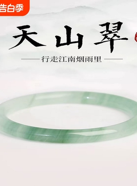 天山翠手镯手链精致女款细条玉镯仿冰透飘花款小众镯子半山细圆条