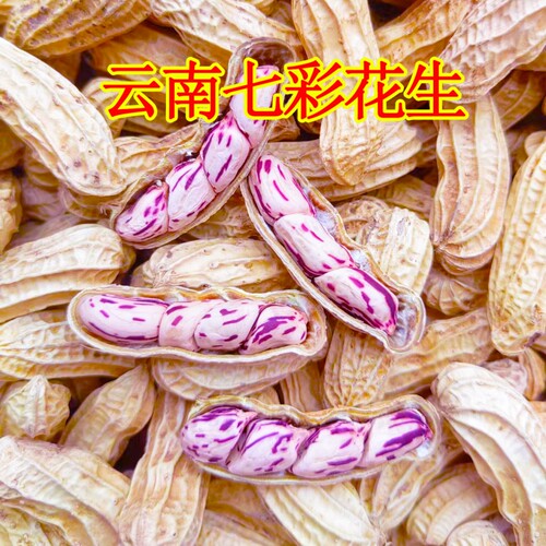 七彩花生七彩咸干花生云南特产带壳2025新货生熟水煮五彩花生米