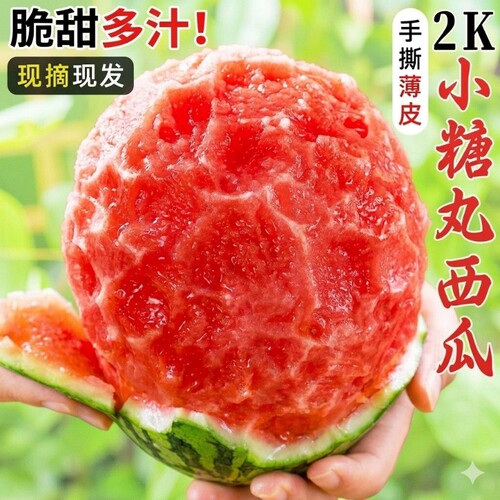 甘肃头茬沙漠种植手剥薄皮2k小西瓜酥脆小糖丸皮薄多汁西瓜4-6斤