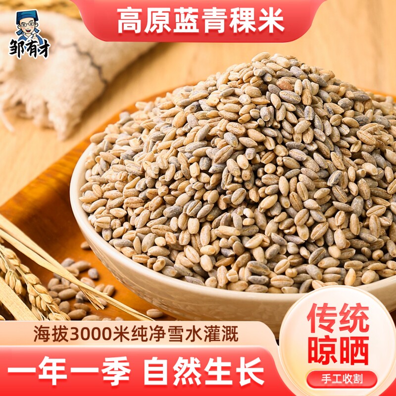 蓝青稞米特产新米粗粮主食五谷杂粮煮粥非西藏谷物麦仁传统优选