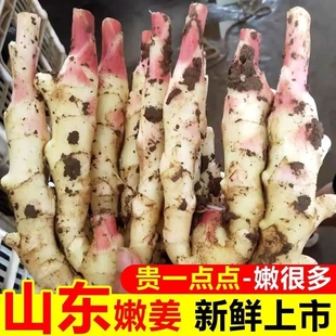 鲜姜新鲜大仔姜子姜山东红芽生姜带泥发货新鲜鲜姜5斤家用炒菜