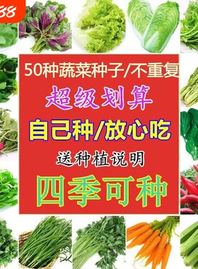 四季盆栽蔬菜种子菜种子蔬菜香菜番茄黄瓜玉米白菜胡萝卜甜瓜西瓜