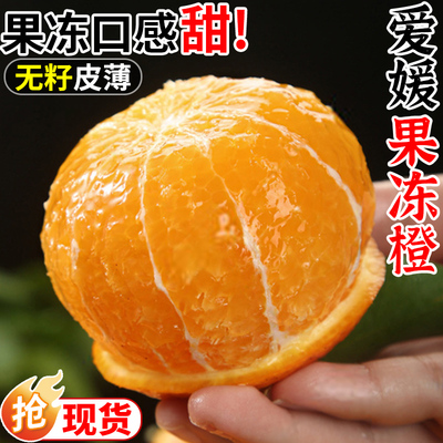 爱媛果冻橙3/5/9斤新鲜橙子整箱柑橘水果当季包邮整箱