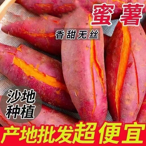 新鲜红薯蜜薯黄心糖心现挖番薯沙地板栗地瓜红芋山芋西瓜软糯种植