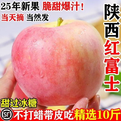 脆甜红富士苹果10斤|千人加购