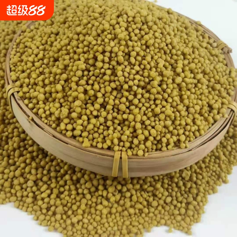 正宗贵州威宁特产纯苦荞饭黑荞麦疙瘩乔米五谷杂粮饭店专用苦荞米