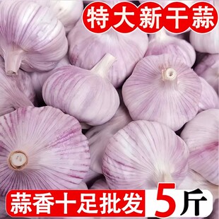 金乡大蒜干蒜5斤特大果山东本地农家紫白皮批发新蒜头包邮