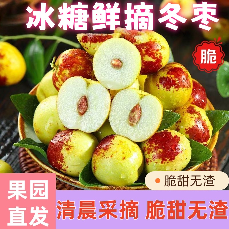 正宗冬枣脆甜新鲜大果应季整箱枣子现摘脆枣冰糖大枣5斤当季水果