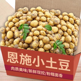 新鲜土豆恩施黄皮黄心现挖粉糯小洋芋迷你高山蔬菜小土豆