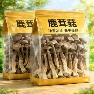 【净重】古田鹿茸菇新货煲汤鲜美脆嫩鹿茸菇干货年货送礼滋补