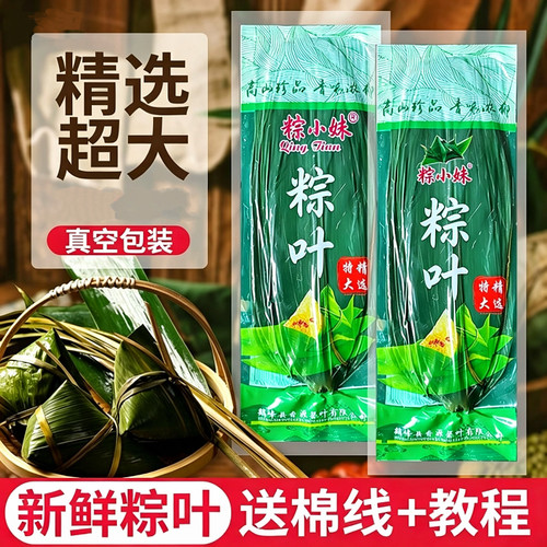 新鲜粽叶真空包装100片箬叶包粽子的叶子特大粽子叶干食用超大