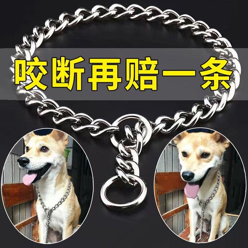 狗狗项圈P链项圈防爆冲304不锈钢小中大型犬金毛拉布拉多训犬脖套
