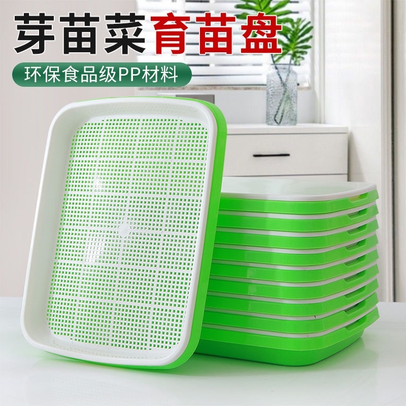 育苗盘芽苗菜阳台种菜盆水培蔬菜豆芽无土栽培育小麦蒜苗种植托盘