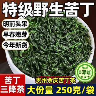 小叶苦丁茶特级野生高山余庆新茶嫩芽泡水喝降火养生茶三高茶正品
